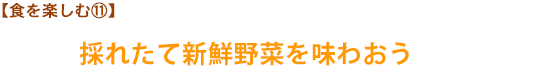 【食を楽しむ㉃】採れたて新鮮野菜を味わおう