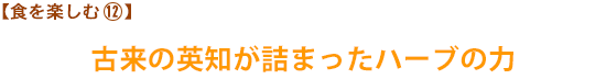 【食を楽しむ㈹】古来の英知が詰まったハーブの力