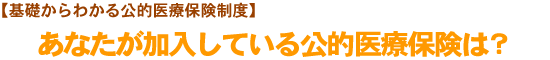 【基礎からわかる公的医療保険制度】あなたが加入している公的医療保険は？