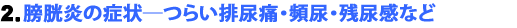 2.膀胱炎の症状—つらい排尿痛・頻尿・残尿感など