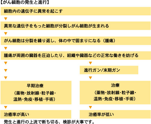 がん細胞の発生と進行の流れ図