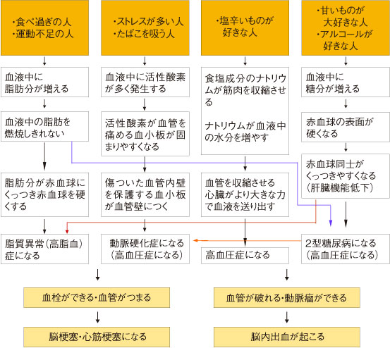 循環器疾患が起こる経過の図